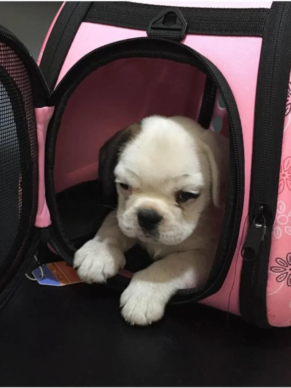 Pink Breathable Folding Soft-Sided Pet Carrier Comfort Bag for Dog Cat Travel